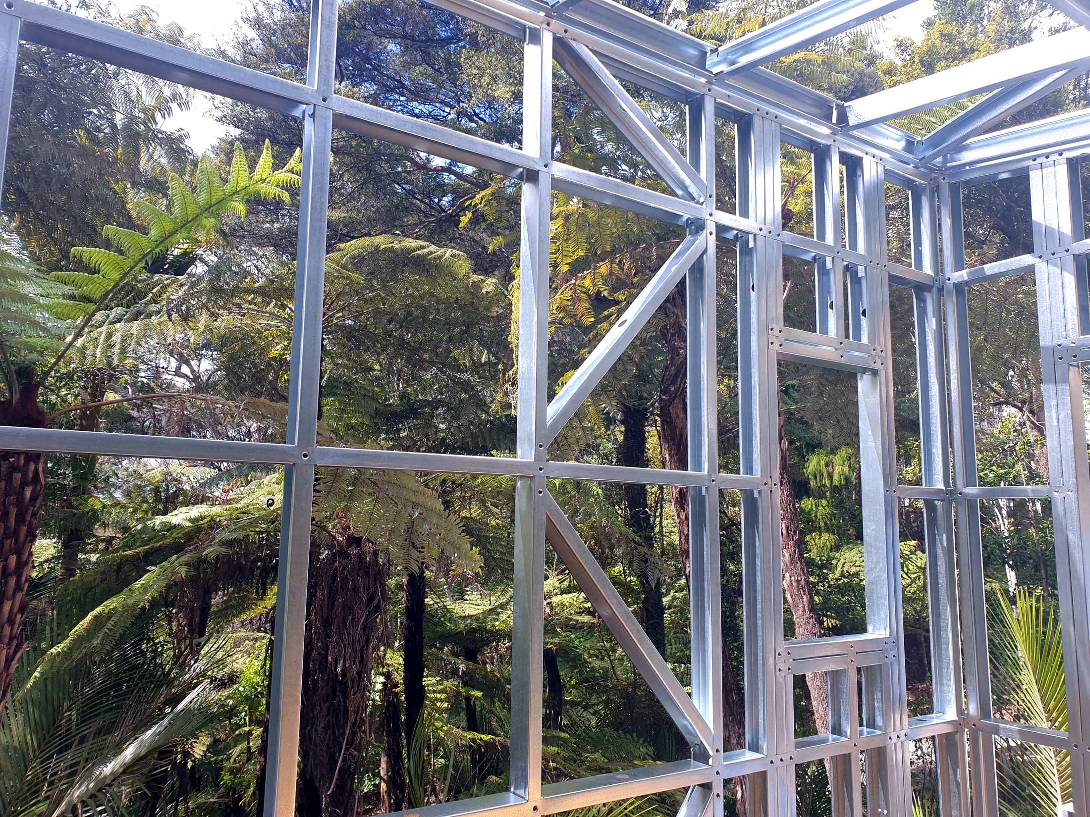 Looking out through a steel wall frame to tree ferns and native bush